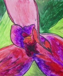 Orchid Through The Heart Oil Pastel by Sonia Rumzi