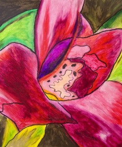 Red Splendor Oil Pastel by Sonia Rumzi